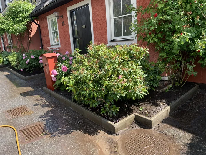 Plantering med blommande buskar och kant i trä